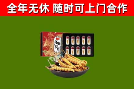滨州回收冬虫夏草价格